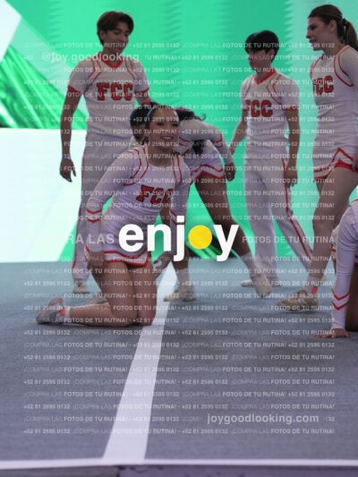Joy Pm 356