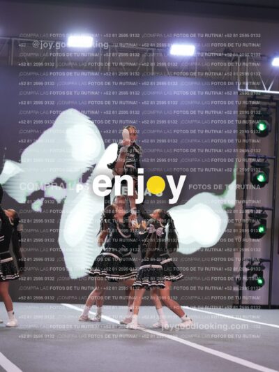 Joy Pm4Sf 010