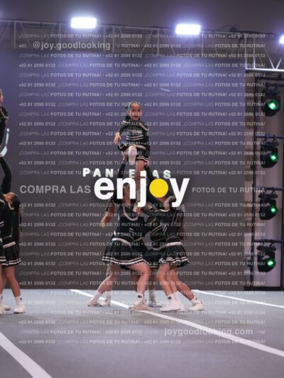 Joy Pm4Sf 012