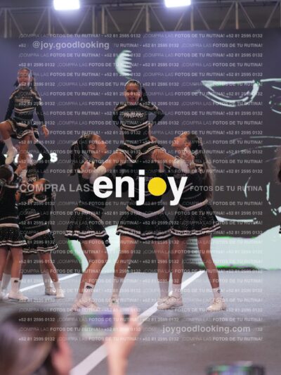 Joy Pm4Sf 019