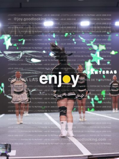 Joy Pm4Sf 036
