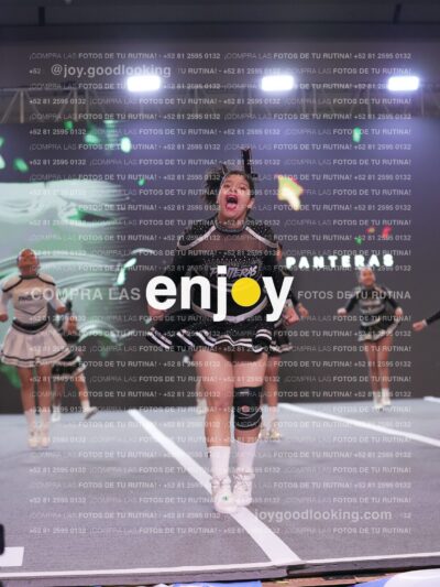 Joy Pm4Sf 039