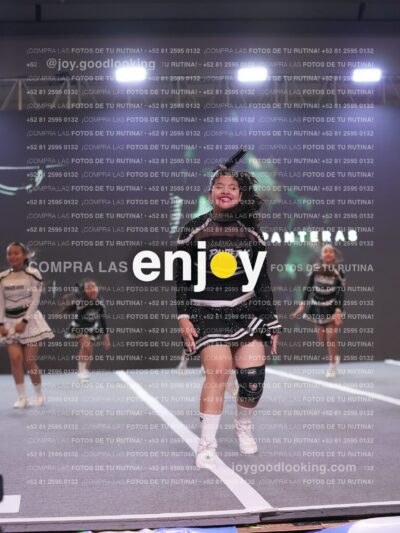 Joy Pm4Sf 040