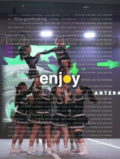 Joy Pm4Sf 060
