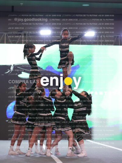 Joy Pm4Sf 063