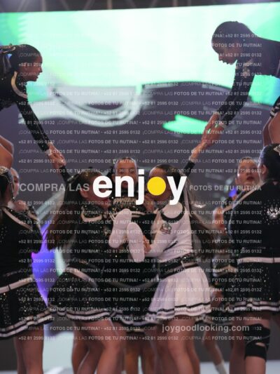 Joy Pm4Sf 080
