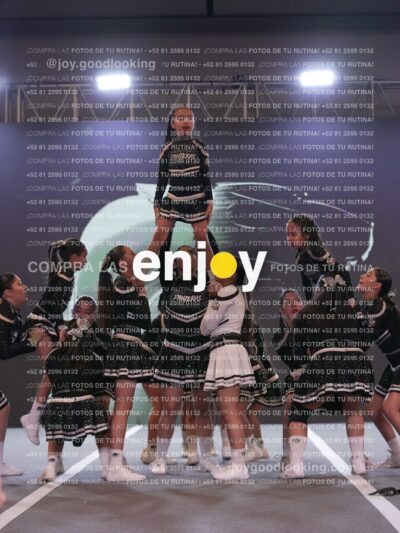 Joy Pm4Sf 084