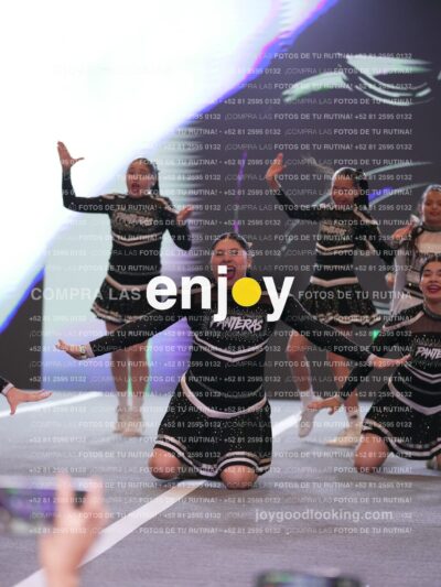 Joy Pm4Sf 106