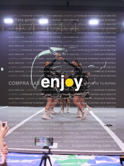 Joy Pm4Sf 115