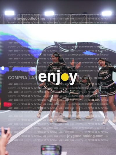 Joy Pm4Sf 117