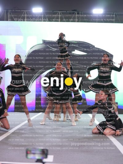 Joy Pm4Sf 120