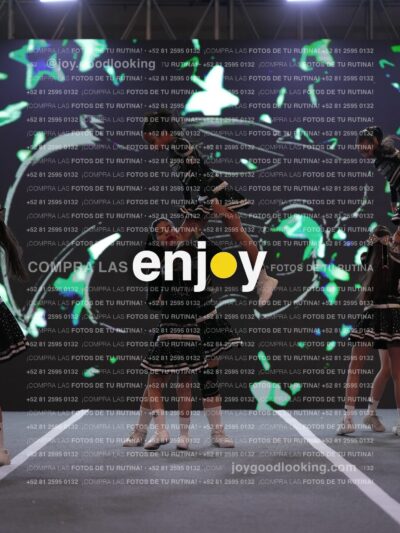 Joy Pm4Sf 145