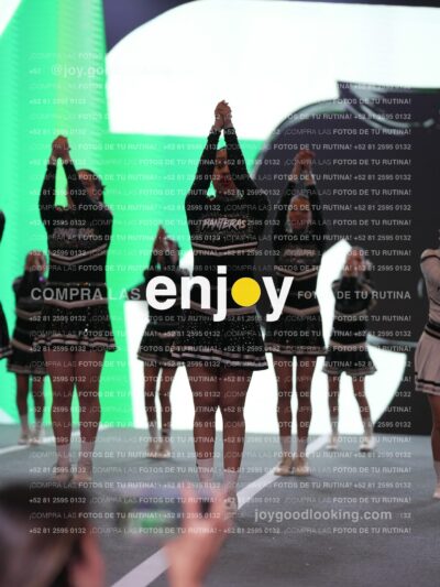 Joy Pm4Sf 151