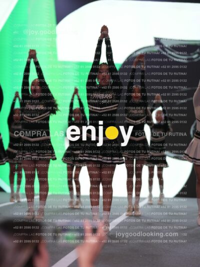 Joy Pm4Sf 152