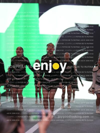 Joy Pm4Sf 153