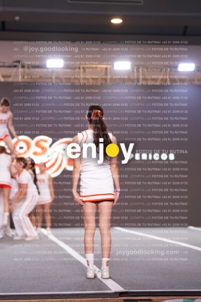 Joy Pm7 053