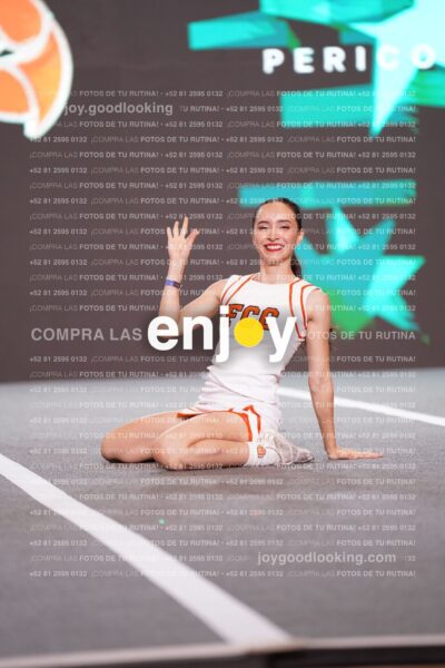 Joy Pm7 196