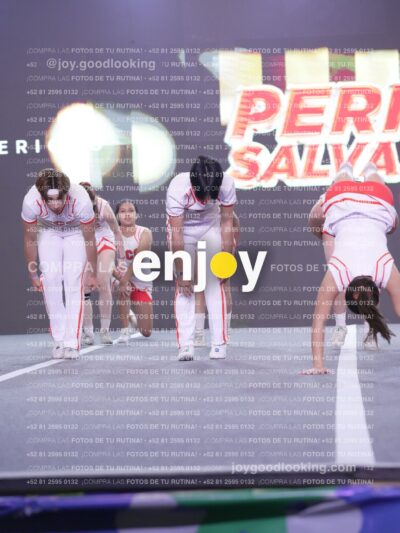 Joy Pm7 277