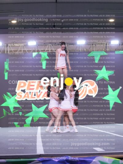 Joy Pm7 326