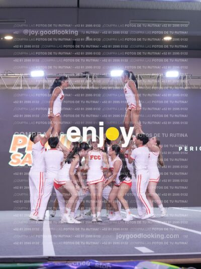Joy Pm7 351