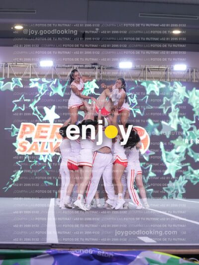 Joy Pm7 359
