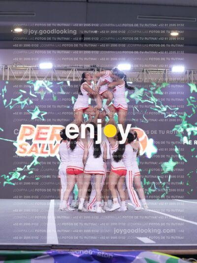 Joy Pm7 364