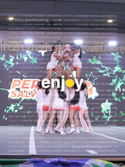 Joy Pm7 365