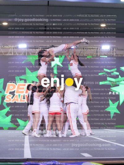 Joy Pm7 379
