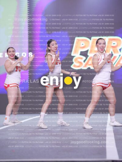 Joy Pm7 411
