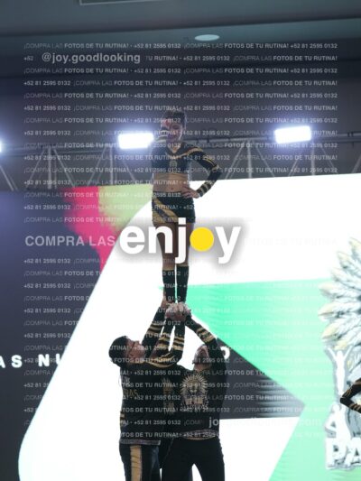 Joy Pnlnt 001