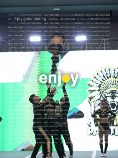 Joy Pnlnt 009