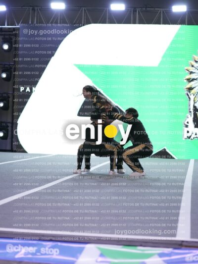 Joy Pnlnt 029