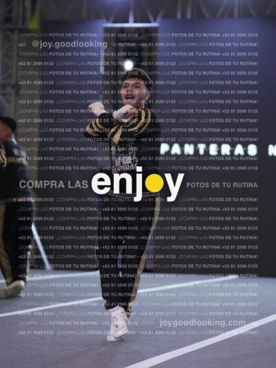 Joy Pnlnt 062