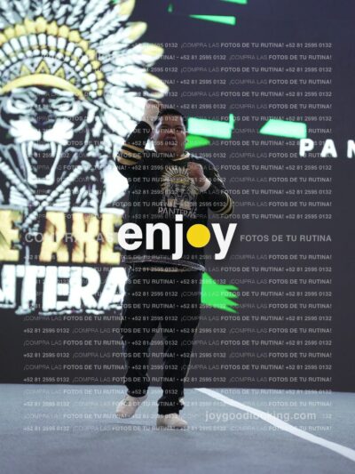 Joy Pnlnt 065