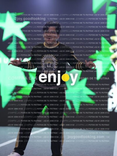 Joy Pnlnt 067