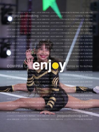 Joy Pnlnt 074