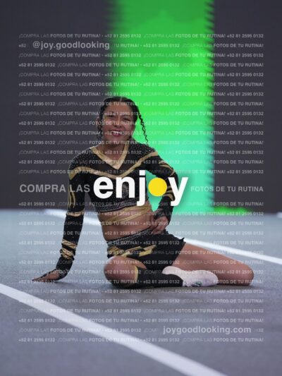 Joy Pnlnt 081