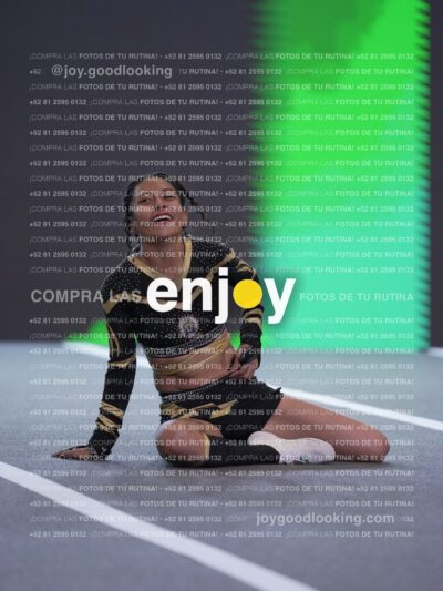 Joy Pnlnt 082