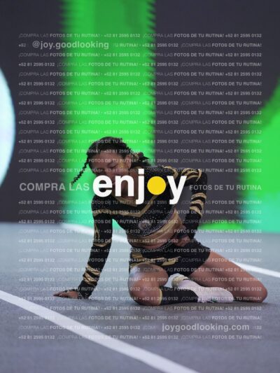 Joy Pnlnt 083