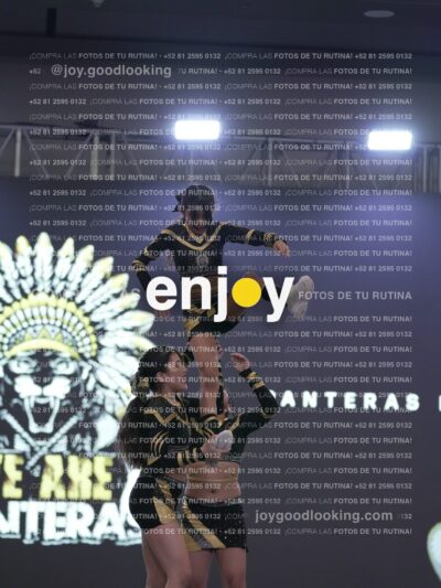 Joy Pnlsm 015