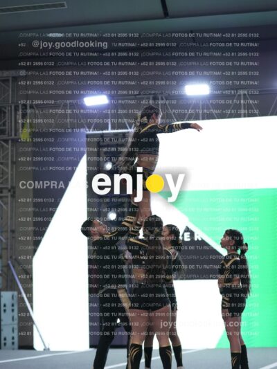 Joy Pnlsm 024
