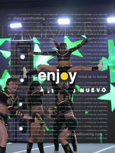 Joy Pnlsm 033