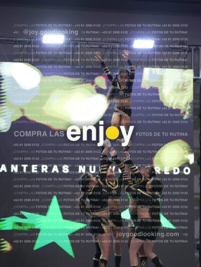 Joy Pnlsm 035
