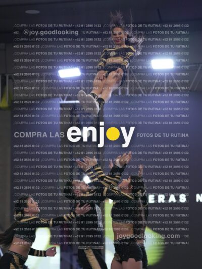 Joy Pnlsm 038