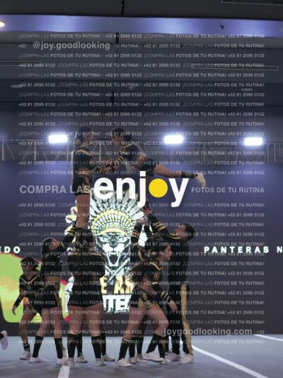 Joy Pnlsm 040