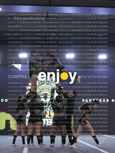Joy Pnlsm 041