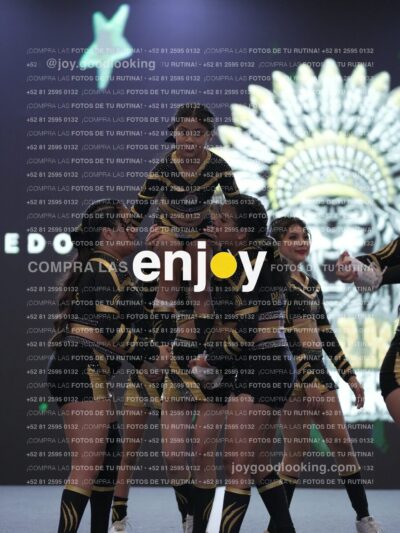 Joy Pnlsm 051