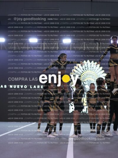 Joy Pnlsm 052
