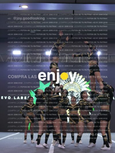 Joy Pnlsm 061