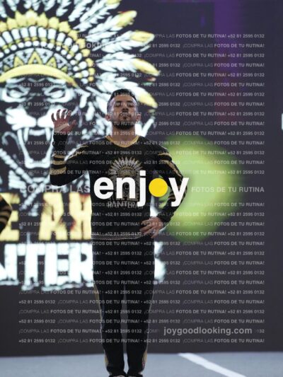 Joy Pnlsm 071